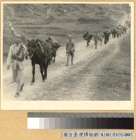 藏品(我軍之精銳部隊)的圖片